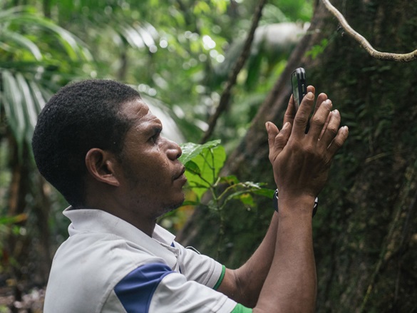 Cool Earth school girls holding hands around a tree in the rainforest